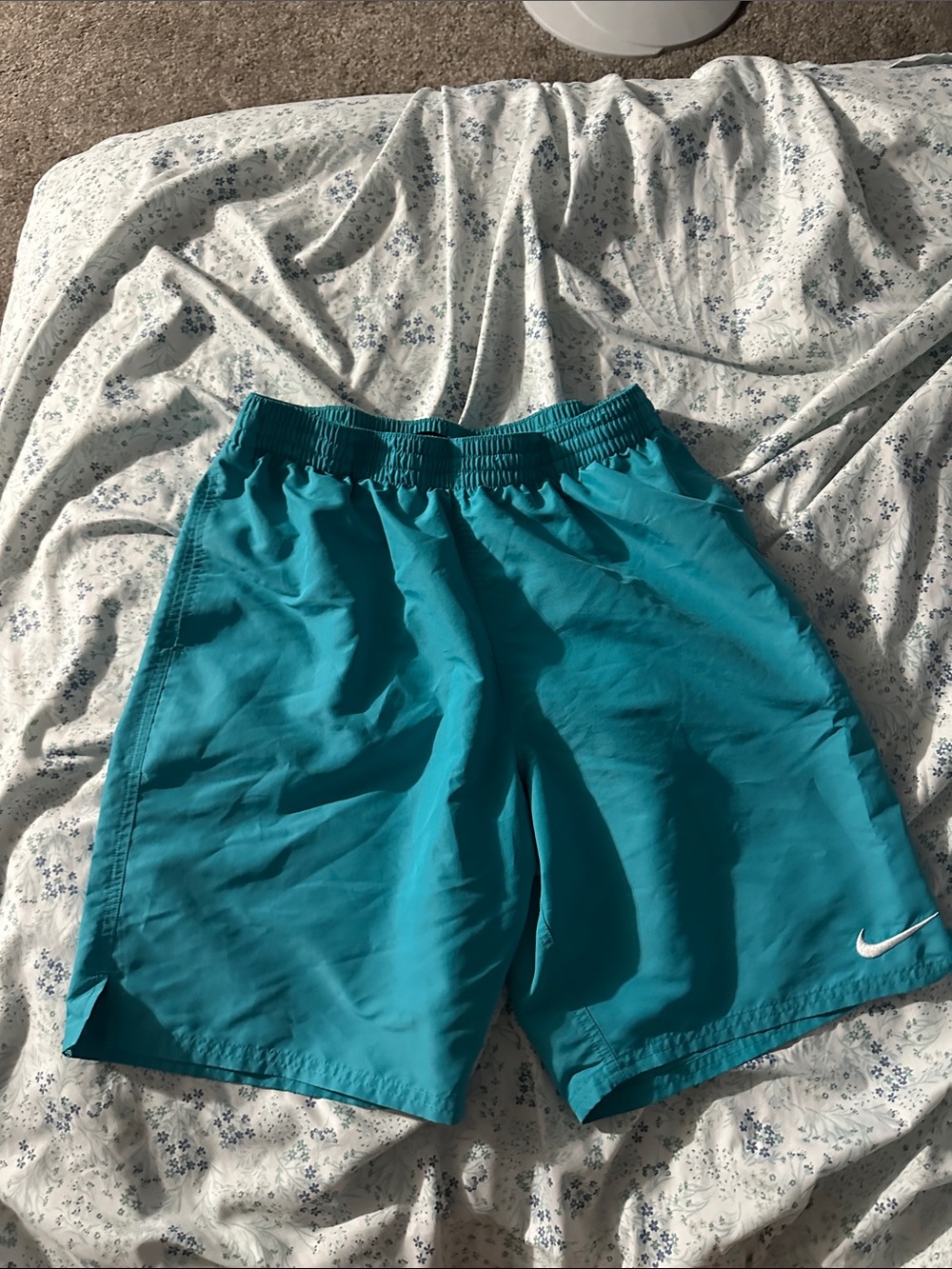 Nike Men’s Swimming Shorts Size Large